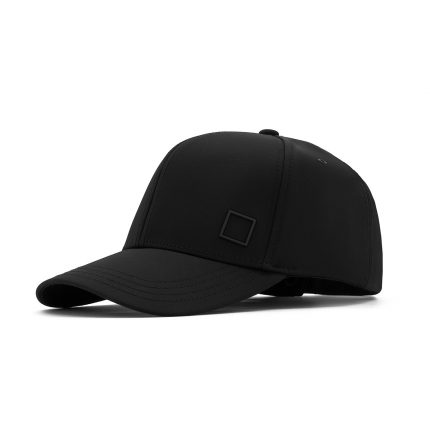 CAPS-1-2.jpg - PIET